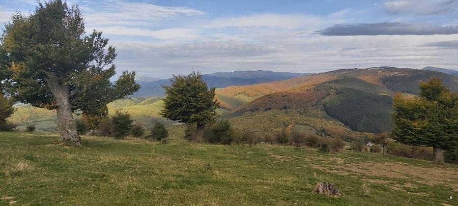 VÂND TEREN EXTRAVILAN 10.000 MP – ZONĂ MONTANĂ ARGEȘ - 9