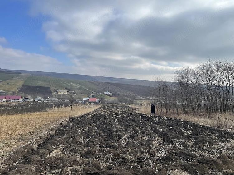 6.000 mp intravilan sat Avintu - 2