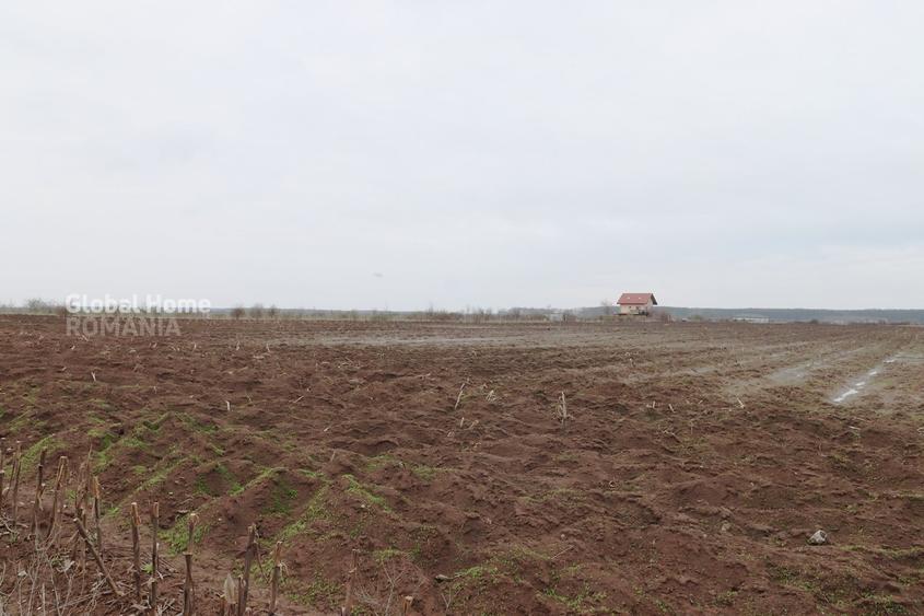 Teren agricol extravilan de 4000 mp, în Corbeanca