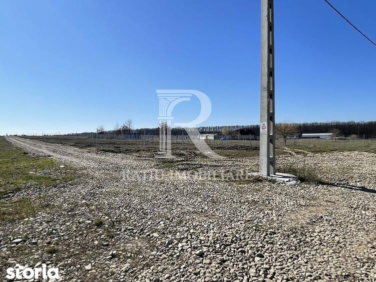 Parcele teren intravilan | 543 mp | Pausa | Nojorid | Bihor - 3