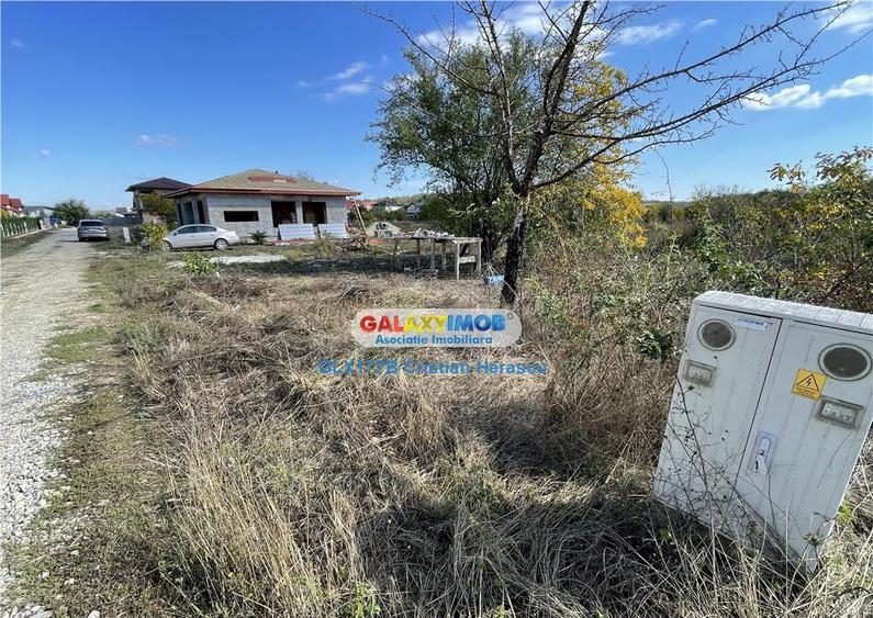 Gulia Tartasesti Str Samurcasi 482 mp deschidere 25 ml - 17