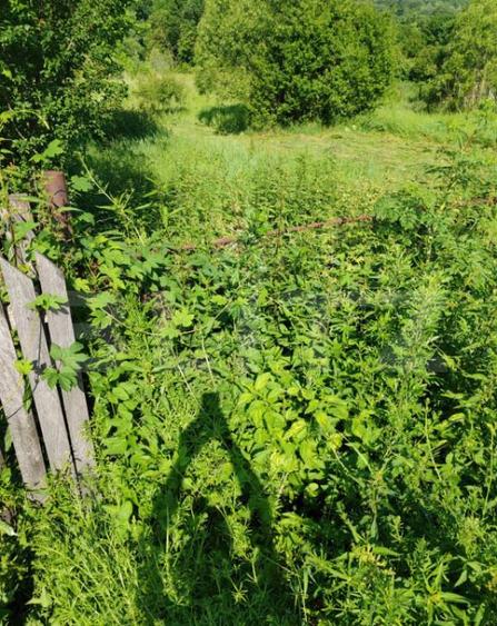 Teren intravilan 4.183 mp Cobia, sat Mislea ie?ire - 3