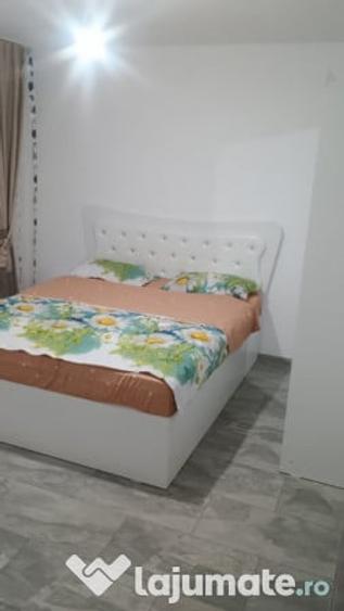 Apartament doua camere parter decomandat Trivale - 6