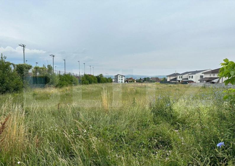 Teren intravilan, 7441mp, zona Lidl Cetate - 2