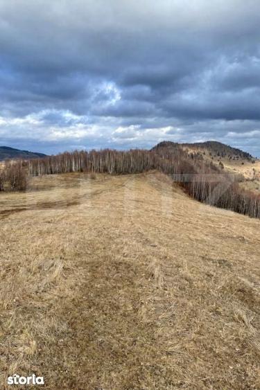 Teren Construibil - Muntele Baisorii , 5000mp - cu posibilitate de par - 1