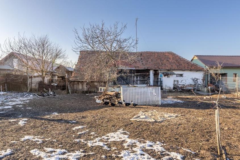 Gospodarie autentică bănățeană, cu teren generos și livadă – Frumușeni - 15