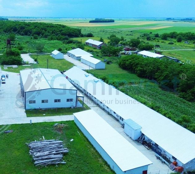 Gaminvest Hala de vanzare cu exclusivitate, la 24 km de Oradea, in Salard,V3708 - 2