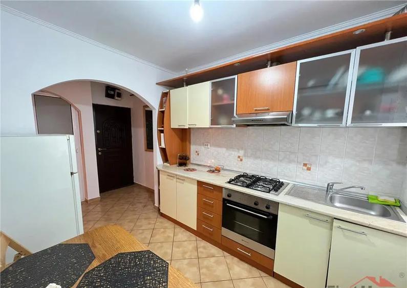 Apartament 2 camere, etaj 1, B-dul Bucuresti mobilat si util - 6