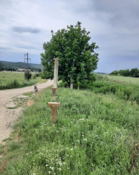 Teren extravilan de vanzare, 4900 mp, Bolde?ti Scaieni - 4