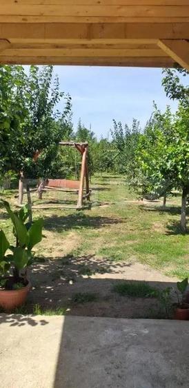 De vanzare casa 99 mp, teren 7,5 ari in Lazuri, Satu Mare - 9