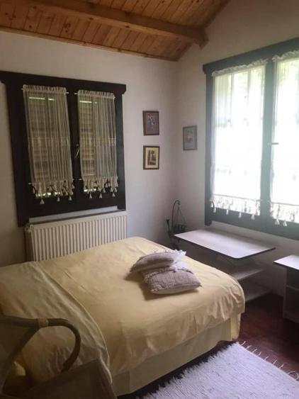 Pensiune montana cu 3200 mp teren in Bicaz, judet Neamt - 7