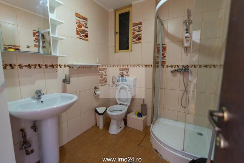 Ultracentral-Teatrul National, Apartament cu terasa-Hotelier-Locuinta - 7