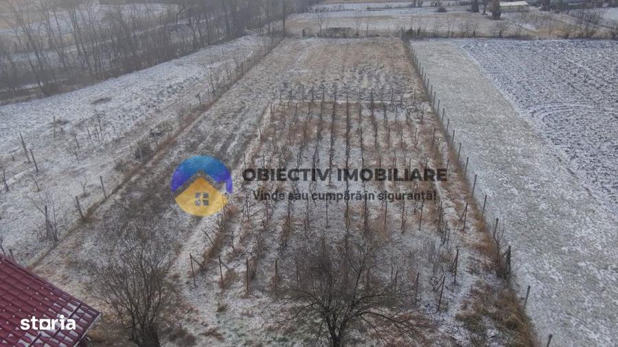 Casa batraneasca + teren 2089 mp , Slobozia - Roznov, jud. Neamt - 8