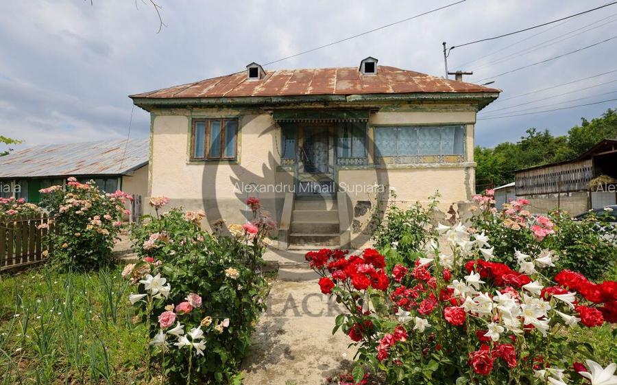 Casa cu 5 camere de vanzare | 700 mp teren | Valea Dulce,...