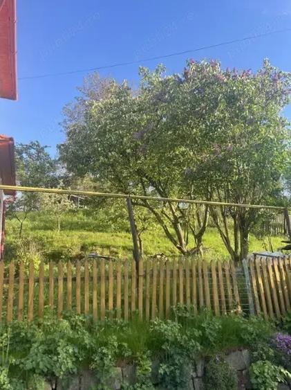 Doua case Petrila Valea Jiului - 3