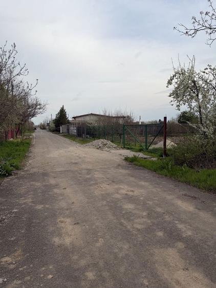 Teren intravilan 700mp, Lilieci, Ialomita(20 min de Bucuresti) - 7