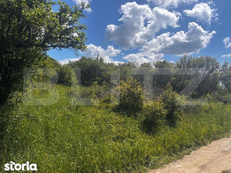 Teren extravilan de vanzare, 2500 mp, zona Valea Sigmirului - 4