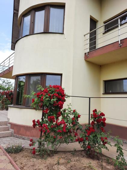 Vila P+E, 18 Km de Bucuresti-Adunatii Copaceni - 18