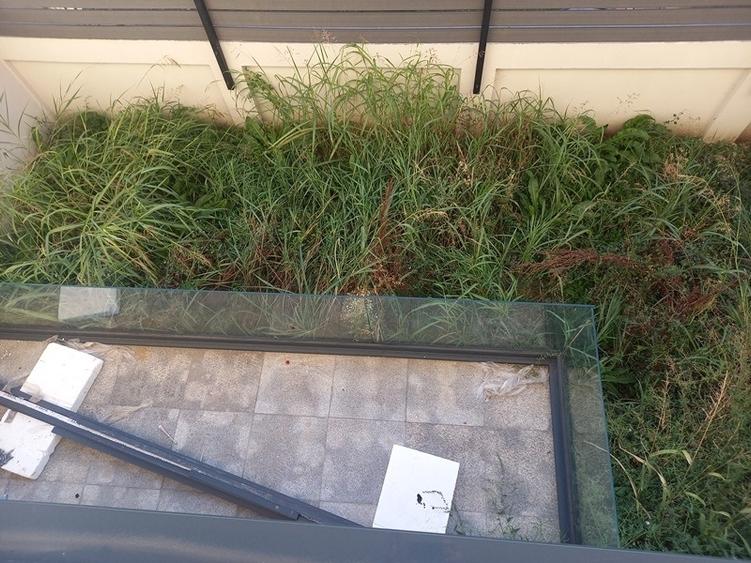 Popesti-Leordeni, Ilfov - 16