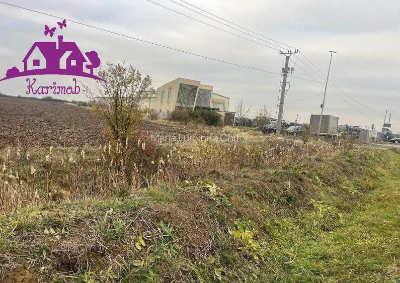 Teren pentru hale soseaua Nojorid Les