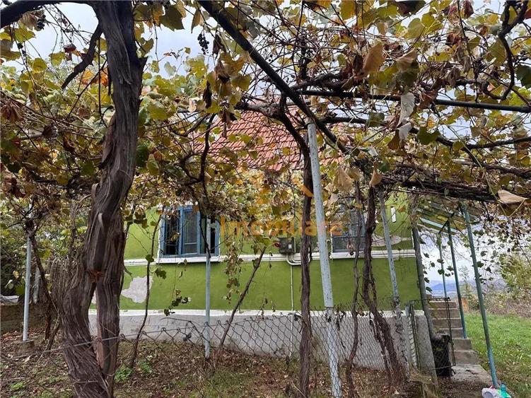 TEREN | 9341 MP | BALNACA GROSI | BIHOR - 8