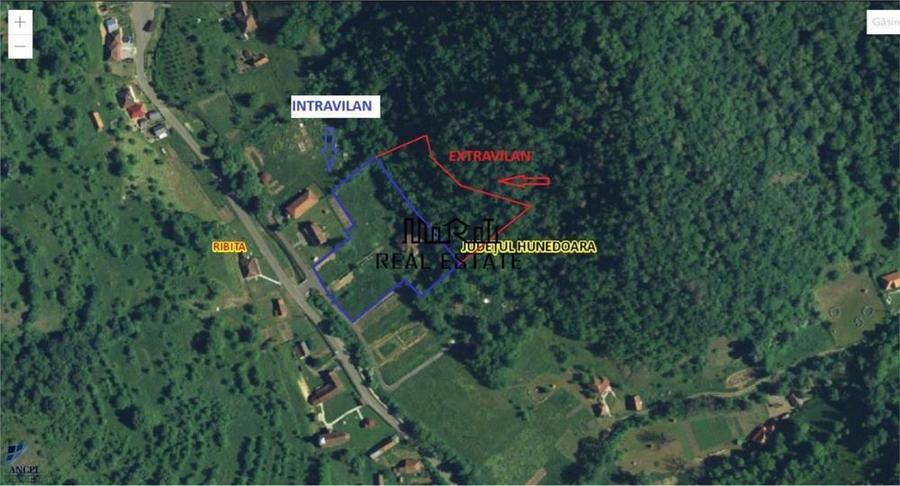 Teren, padure si casa in Dumbrava de Jos, jud. Hunedoara - 6