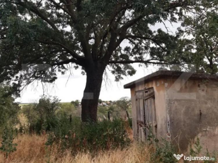 Casa P+1 renovabila, 1008 mp de teren, Sarbatoarea - 10