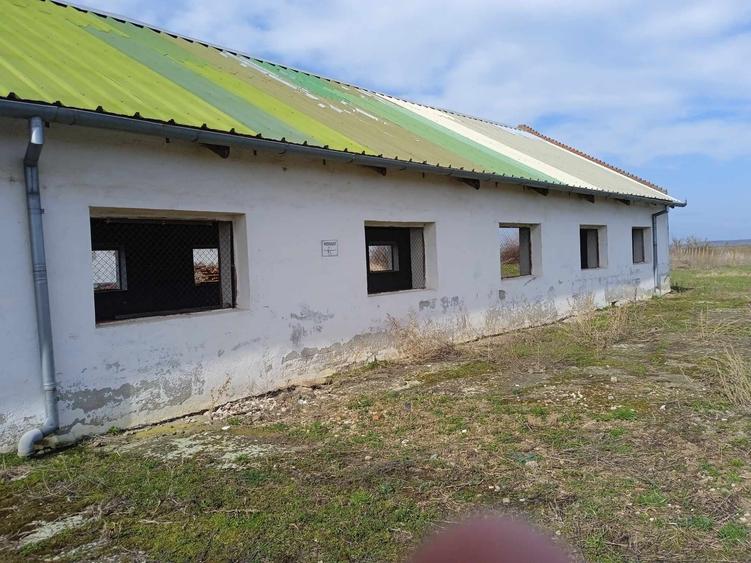 Spatiu depozitare sau uscare - 2