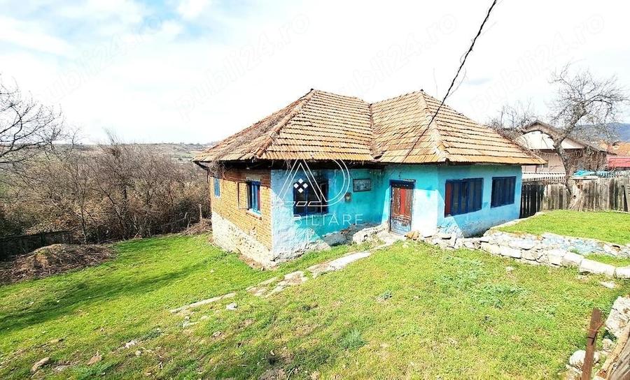 Casa de vanzare in Baia de Fier zona turistica deosebita - 2