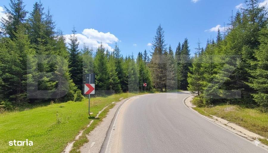 Teren intravilan, 1000 mp, Padina-Parcul Natural Bucegi - 2