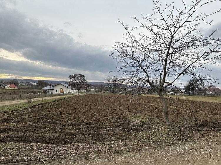 Teren intravilan in Mitocasi - 7