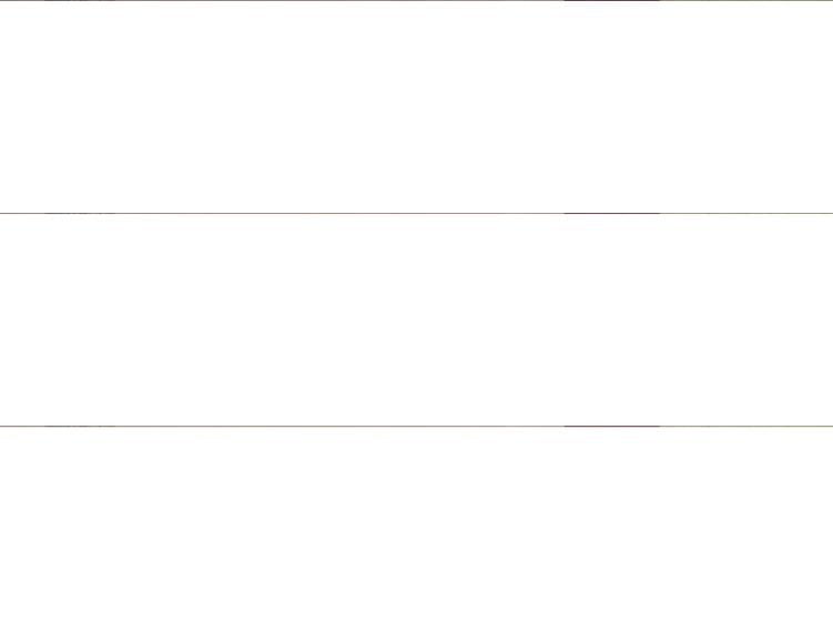 Vand pensiune Rucar Arges - 2