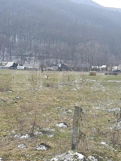 Oportunitate!!!! TEREN INTRAVILAN CU SUPRAFATA DE 5200 MP - 1