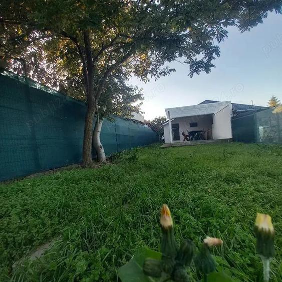 Casa 3 camere de inchiriat Palazu Mare - 2