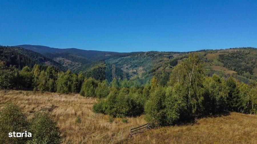 Comision 0% teren intravilan 1000 mp, PUZ, priveliste, Baisoara - 7