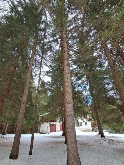 Casă de vacanță spațioasă în Călățele Pădure – Dealul Negru, teren 2000 mp - 7