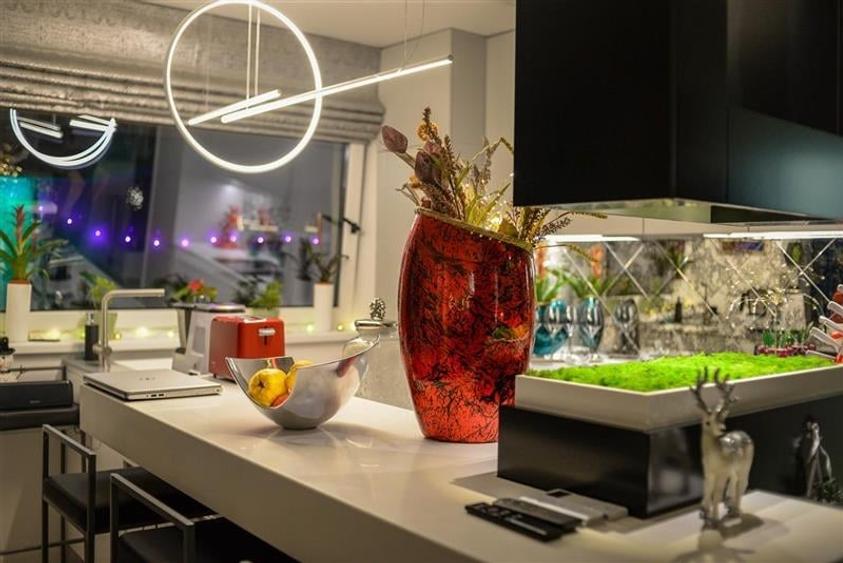 Nivel in vila, in caracter unic, dotari de colectie, terase, parcare securizata, - 2