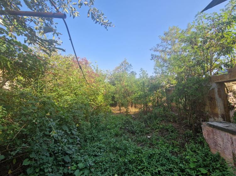 Cornetu stradal, vanzare teren intravilan 1.600mp - 12