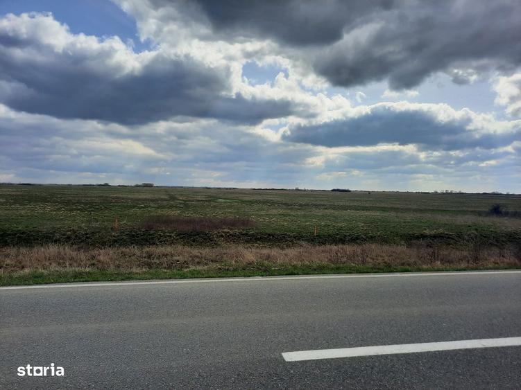 Vand faneata in extravilan - 2