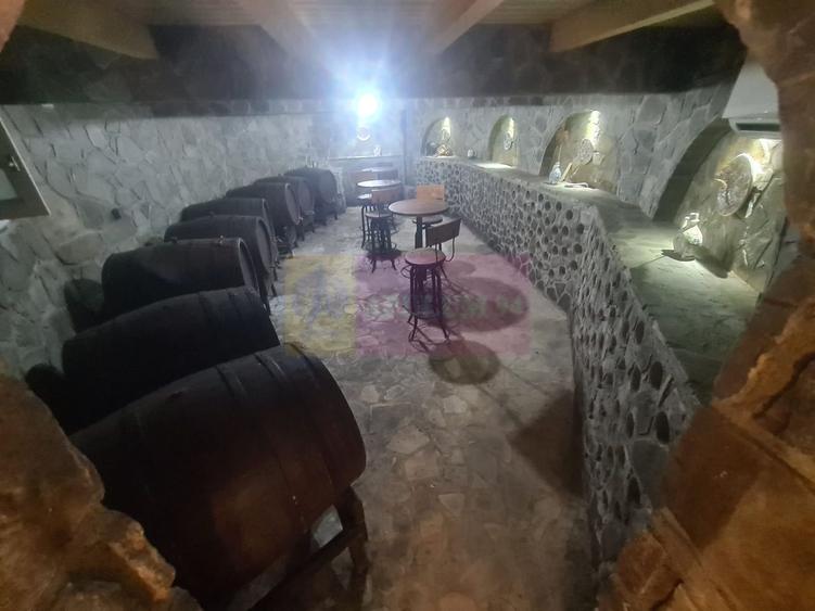 Vila de vanzare in Campina - Zona Lunca Mare - 55