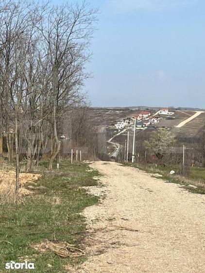 Teren intravilan de vanzare, 9783 mp, Paleu zona Iacului - 2