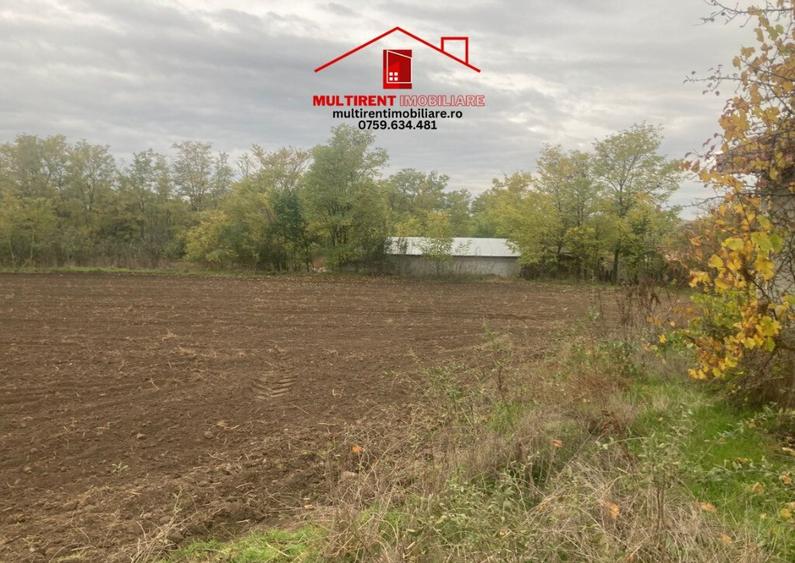 Teren cu casa de vanzare in Randunica (Mihail Kogalniceanu) Tulcea! - 6