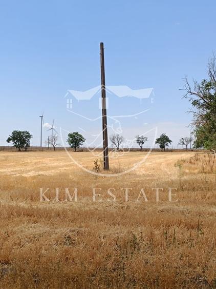 Ferma Pantelimon 10 hectare - 9