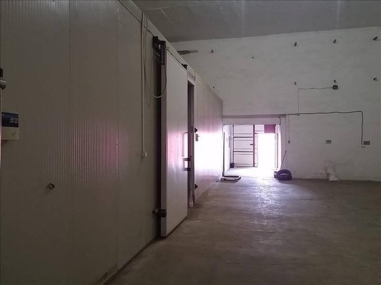 Spatii frigorifice refrigerare/congelare - 2