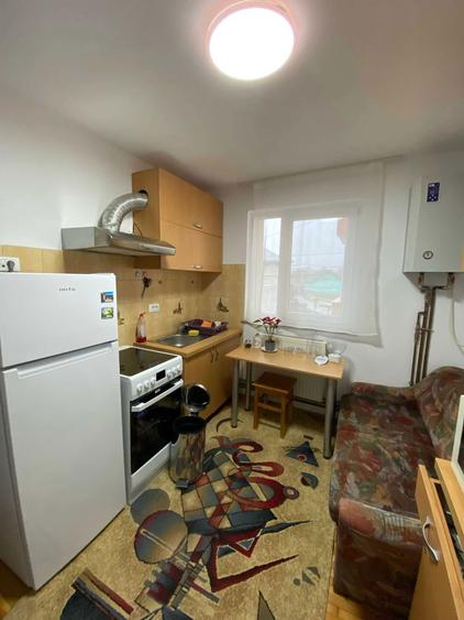 Inchiriez apartament cu o camera in zona Hurmuzachi - 9