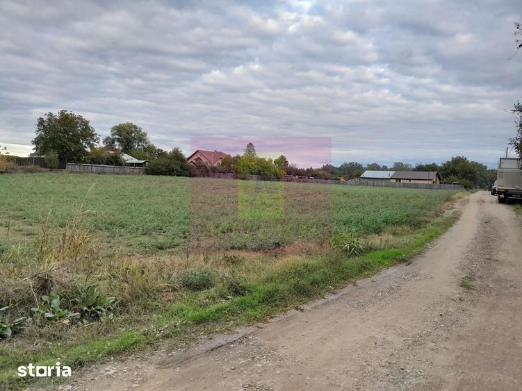 Teren de 2062 mp, în Manasia