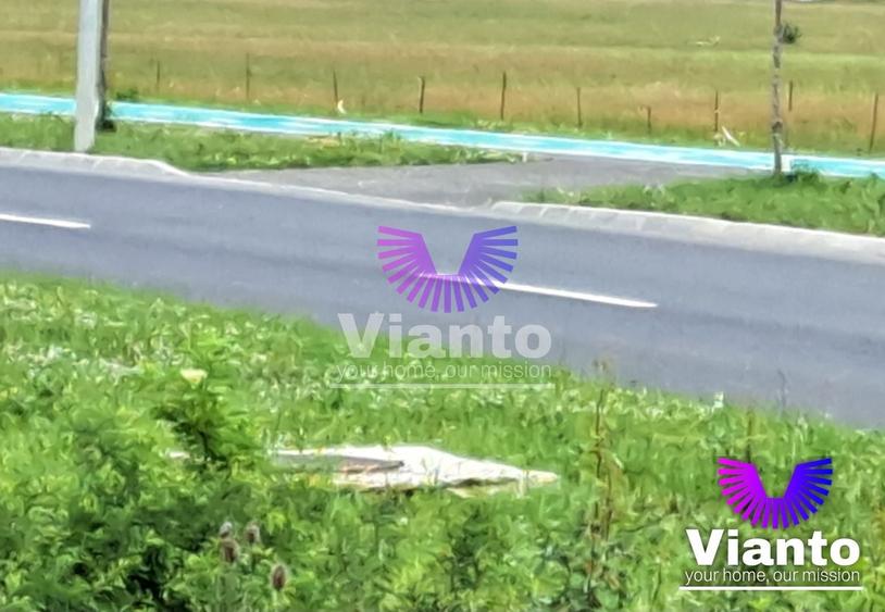 Teren Construcții intravilan de 9000 mp, în Turnișor
