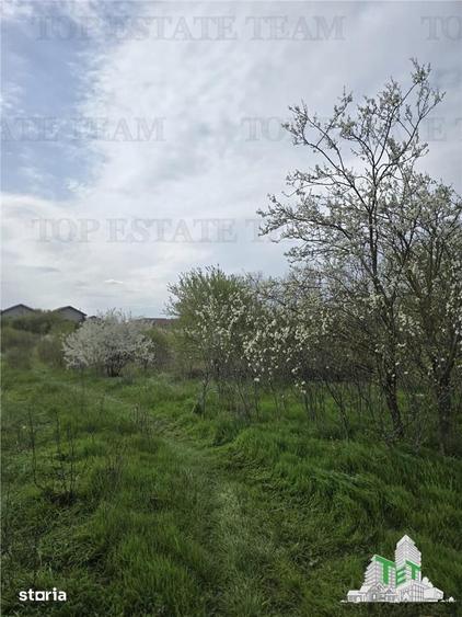 Teren de 2325 mp, în Joița