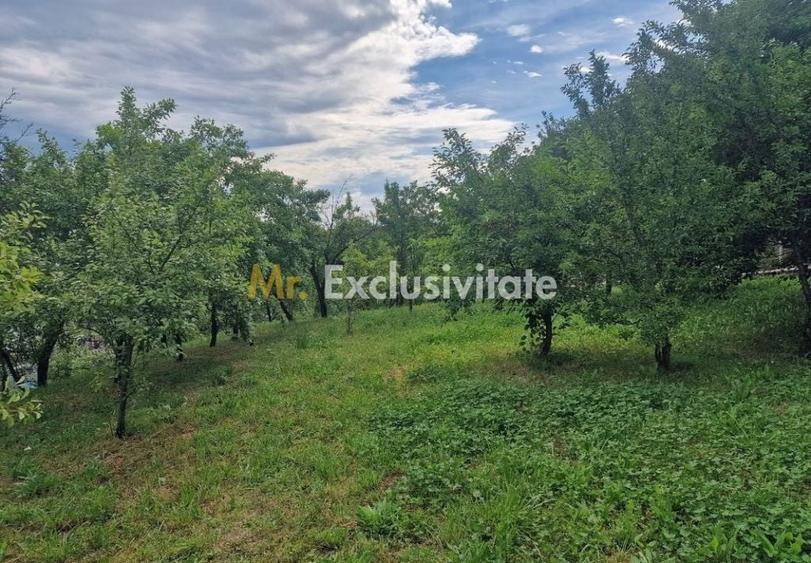 Teren de 1400 mp, în Albota