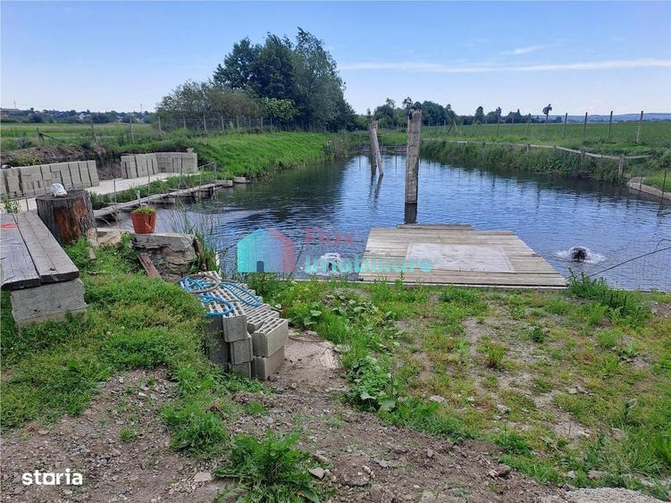 Casă cu 4 camere cu Teren 10000 Mp în Fântâna Mare
